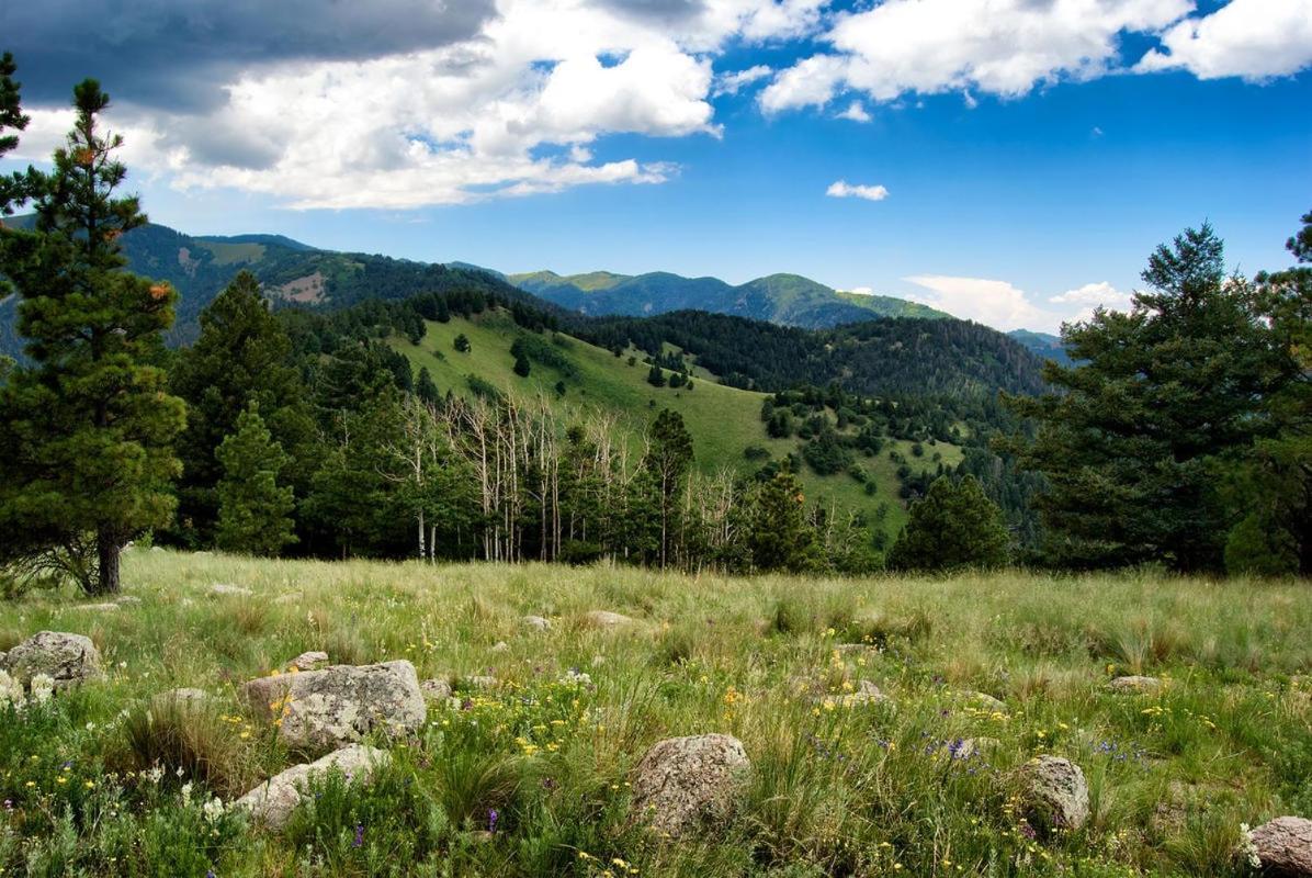 Alpine Cabin, 3 Bedrooms, Deck, Sleeps 8 Ruidoso Buitenkant foto